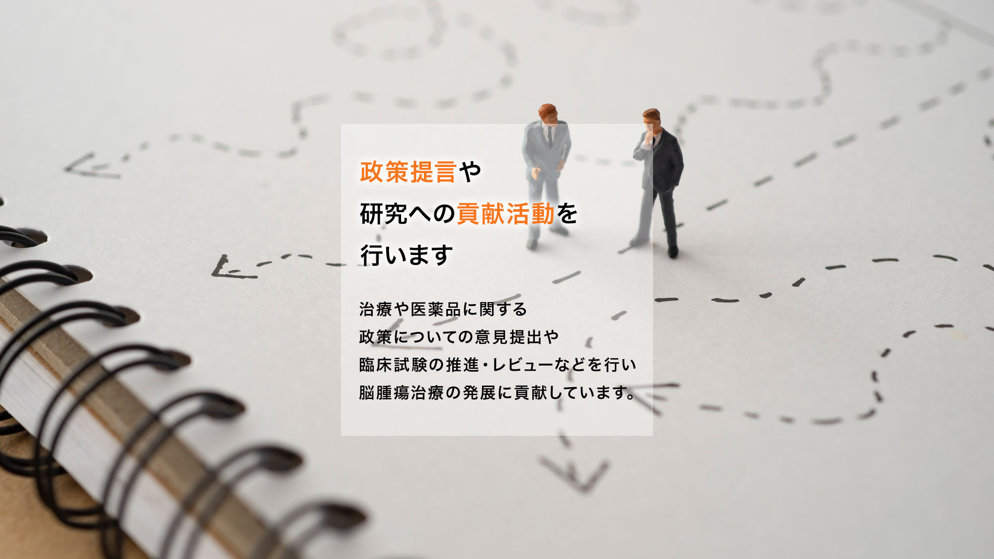 政策提言や研究への貢献活動を行います